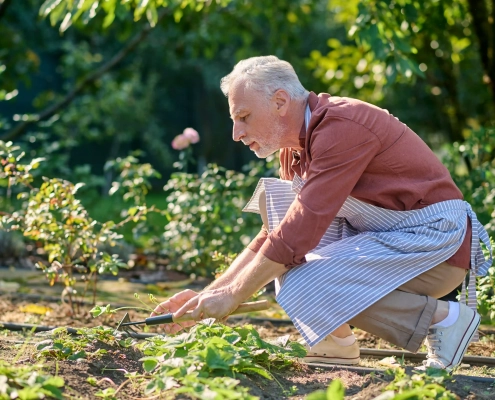 Senior entre environnement urbain et cadre rural pour illustrer les enjeux du vieillissement